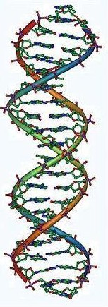 DNA-Helix-1.JPG